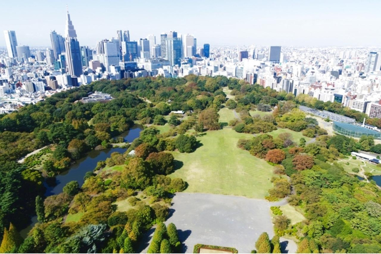 Tokyo: Shinjuku Gyoen National Garden Entry Ticket