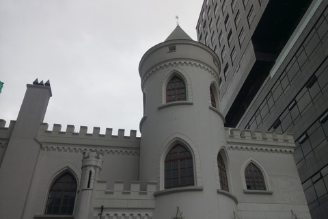 Quito - La Mariscal District: heritage houses and the artisan market 2 Short