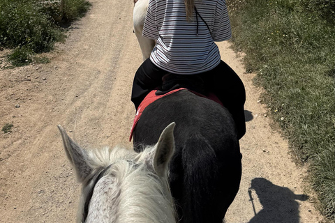 Ibiza : Expérience privée d'équitation dans la nature