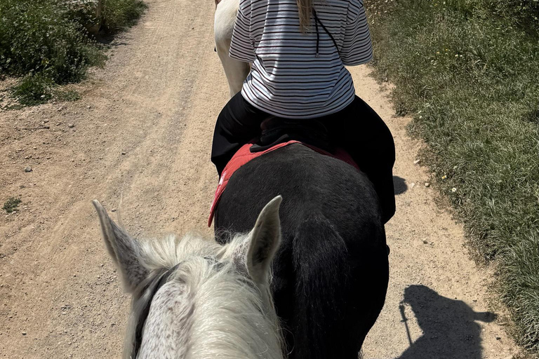 Ibiza : Expérience privée d'équitation dans la nature