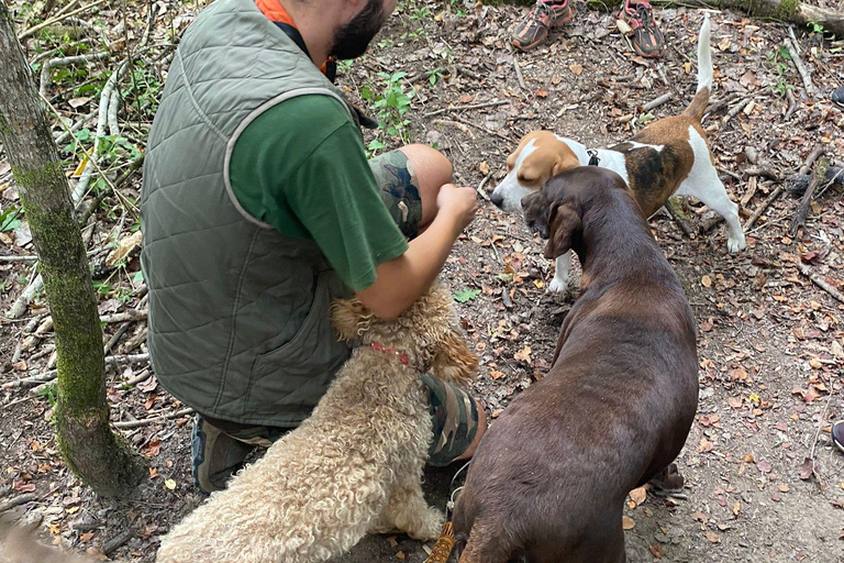 Ljubljana: Istria Truffle Hunting Tour with Local Hunters