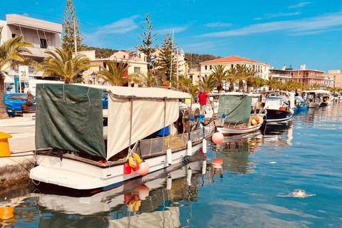 Visita turística privada de día completo de Cefalonia