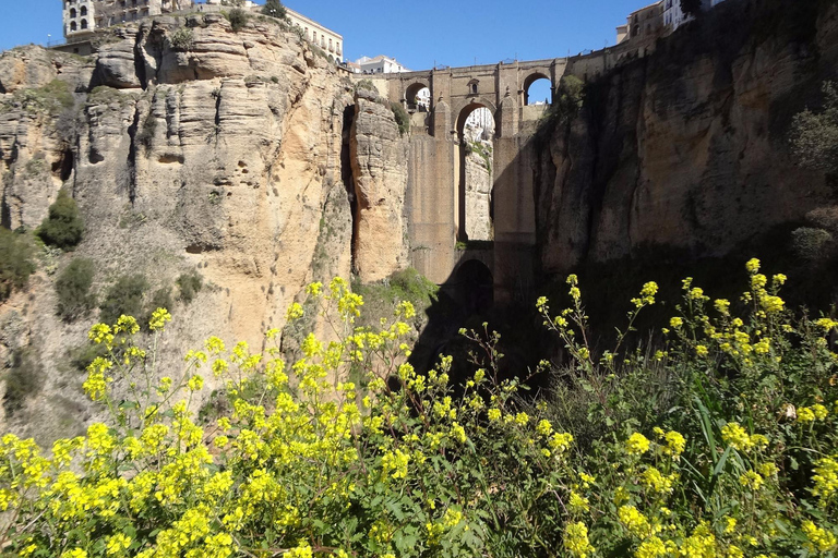 Depuis Malaga : Ronda y Setenil de la Bodegas Excursion d'une journée en autocar