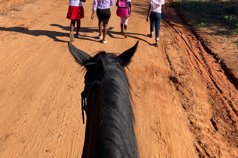 Victoria Falls: African Village Community Tour on Horseback