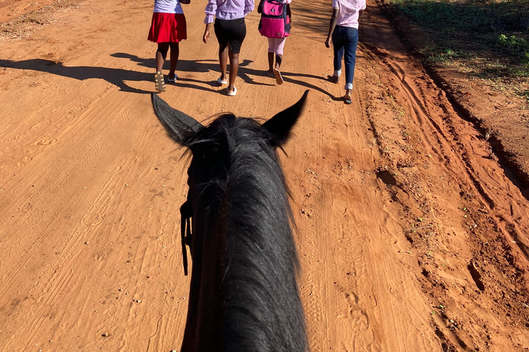 Victoria Falls: African Village Community Tour on Horseback