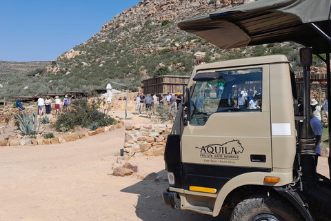 Safari al atardecer en la Reserva de Caza de Aquila con transporte privado