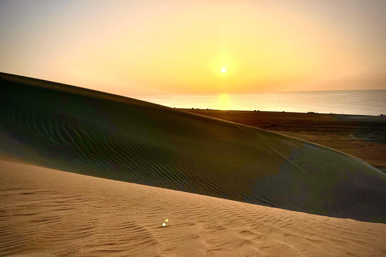 Doha: Desert Safari Sunrise Tour/Sunset Tour