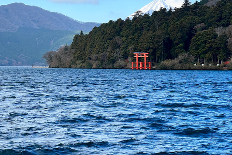 Från Tokyo / Yokohama: Privat dagsutflykt till Fuji-berget och Hakone