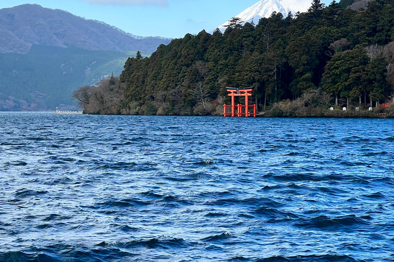 Depuis Tokyo/Yokohama : Excursion privée d'une journée au Mont Fuji et à Hakone