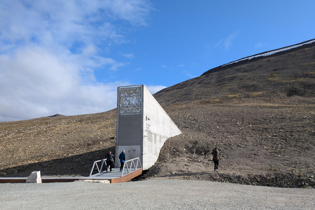 Isole Svalbard: tour fotografico con il sole di mezzanotte e banca dei semi - con guida