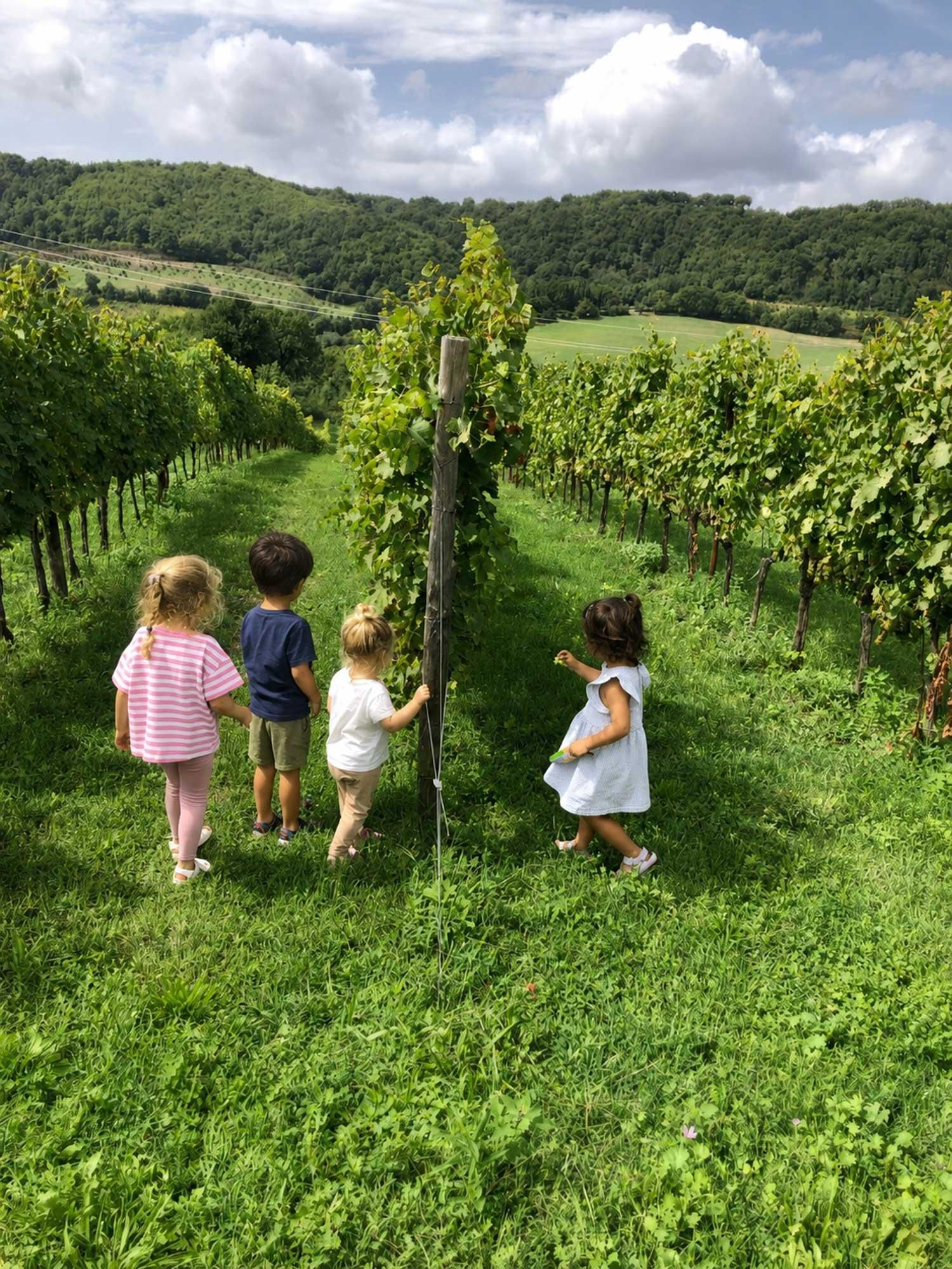 Orvieto: Weinberg-Abenteuer für Kinder auf einem Familienweingut
