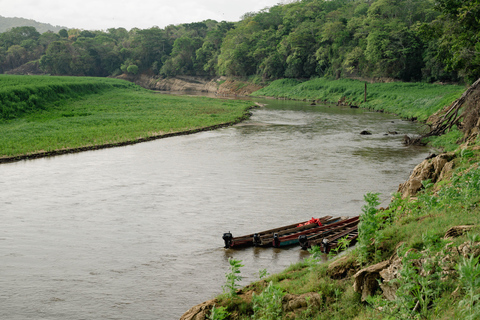 Panama: Private Tour zur Embera-Gemeinde und zum Faultier-SchutzgebietPanama: Private Tour zur Embera-Gemeinde und zum Faultierschutzgebiet