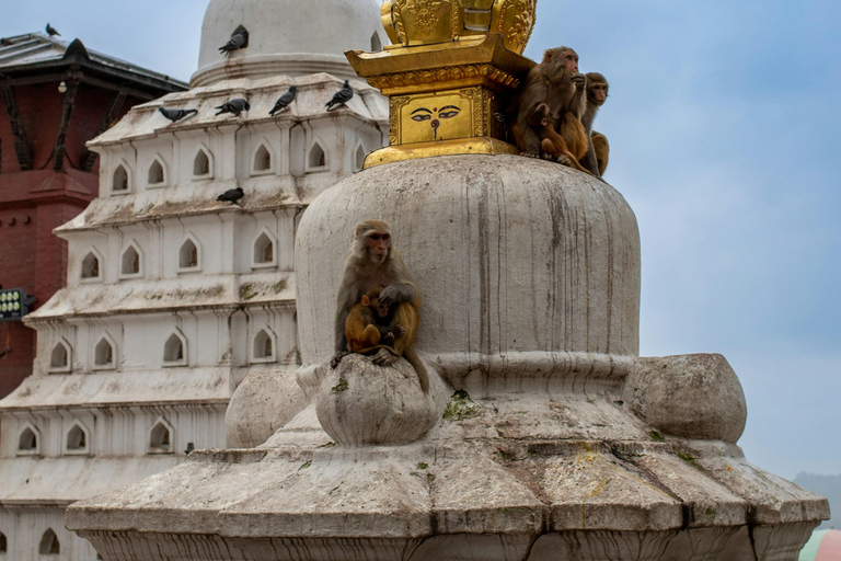 Kathmandu: Half-Day Chaitya Walk Guided Tour Private Tour
