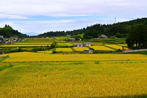 1-Tages-Tour ab Nagoya: Wandern auf dem historischen Nakasendo-Pfad