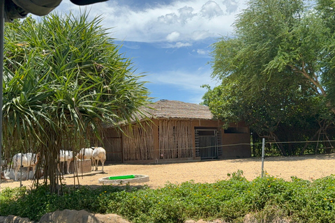 فينبيرل فينووندرز نام هوي آن مع سفاري وحديقة مائيةجولة خاصة بدون بوفيه أو عربة