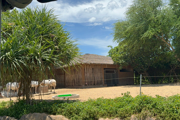 فينبيرل فينووندرز نام هوي آن مع سفاري وحديقة مائيةجولة خاصة بدون بوفيه أو عربة