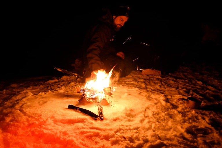 Oslo: Escursioni con le racchette da neve nella foresta con barbecue norvegese