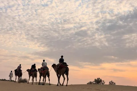 Desert Rose Jaisalmer: Overnight Stay Middle of Thar Desert