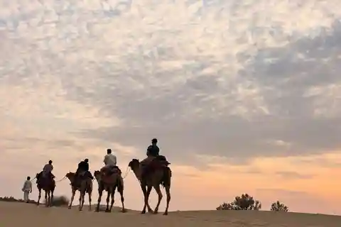 Desert Rose Jaisalmer: Overnight Stay Middle of Thar Desert