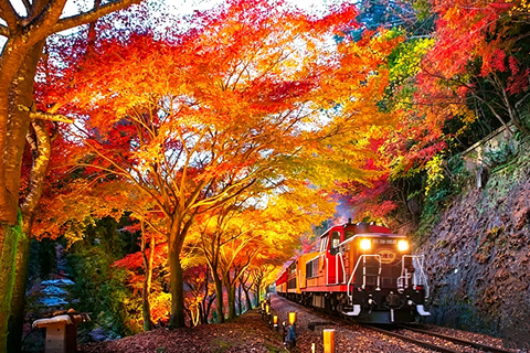 Kyoto: Arashiyama, Sanzen-in & Kifune Shrine Day Trip Departure from Osaka (Basic Package)