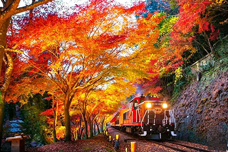 Kyoto: Arashiyama, Sanzen-in & Kifune Shrine Day Trip Departure from Osaka (Basic Package)