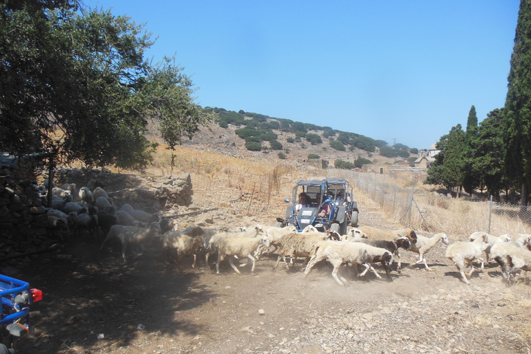 Safari en buggy en Crète (transfert et déjeuner) analipsi- hersonisos