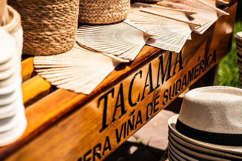 Exclusive: Hacienda Tacama from Lima + Paracas + Ica