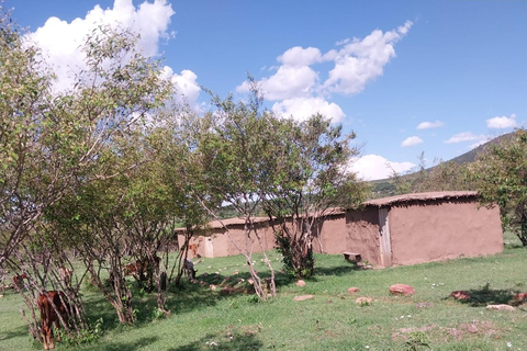 Desde Nairobi Excursión de un día a la Aldea Masai