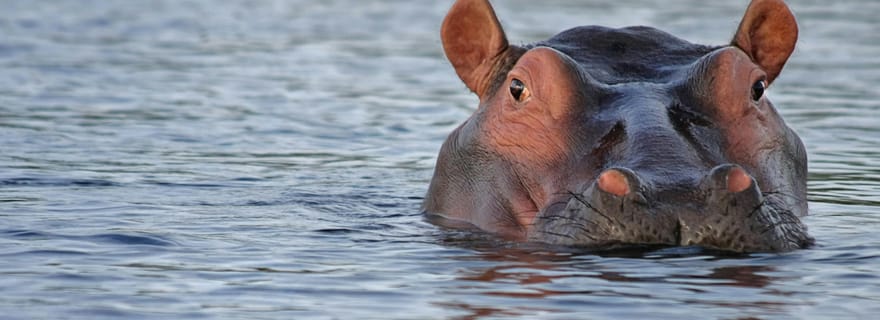 Sainte-Lucie : visite d'une jounée