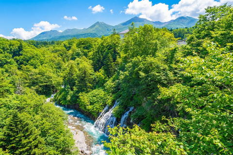 Hokkaido Asahiyama Zoo & Blue Pond Tour & Ningle Terrace 8:00 am meet at Odori Park subway station exit 31