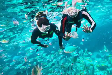Bohol: Balicasag Private Island Hopping Tour