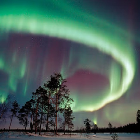 Visit Aurora Hunting with Science, Forecasting and Photography in Ivalo