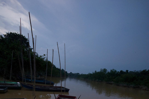 Kuala Selangor: Tour delle lucciole e delle lacrime blu