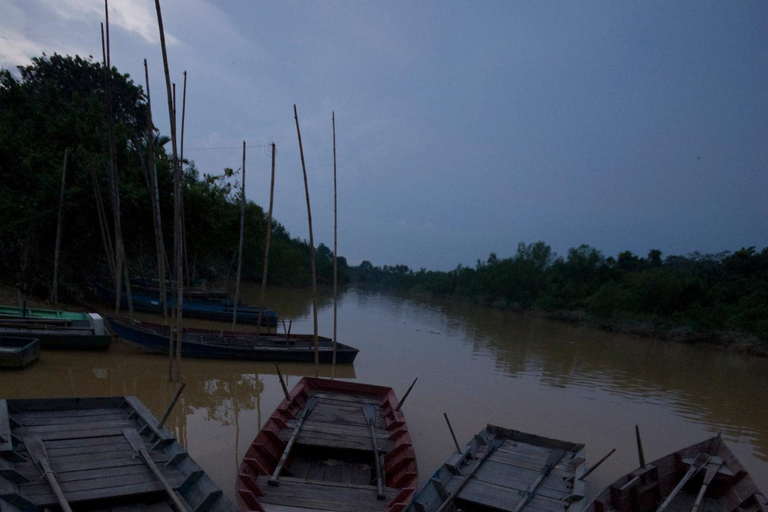 Kuala Selangor: Vuurvlieg en blauwe tranen tour