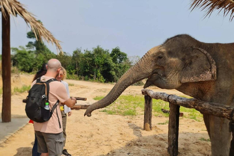 Visite du sanctuaire des éléphants et du temple de Banteay Srey au Cambodge