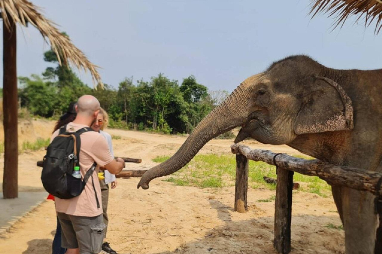 Rundtur i Kambodjas elefantreservat och Banteay Srey-templet