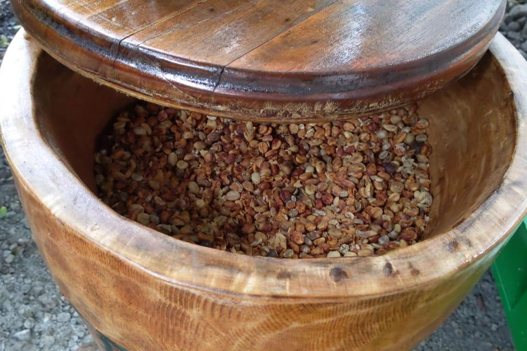 Boquete: Hands-On Coffee Experience with Tasting