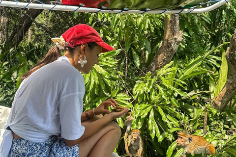 Mirissa to Matara: Crocodile, Bird, Monkey Photography Tour Shared Wildlife Photography Boat Tour - 2 Hours