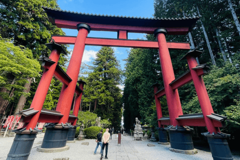 Tokyo: Monte Fuji e Hakone Tour privato flessibile e a basso prezzoTour privato del Monte Fuji e di Hakone in una corona rilassante