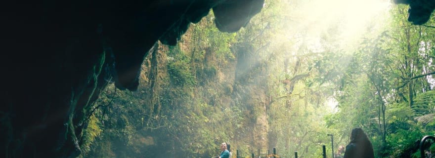 Auckland : grottes de Waitomo et Rotorua - visite en petit groupe à Te Puia