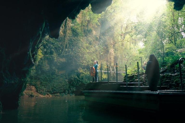 Von Auckland aus: Waitomo-Höhlen und Rotorua mit Te Puia