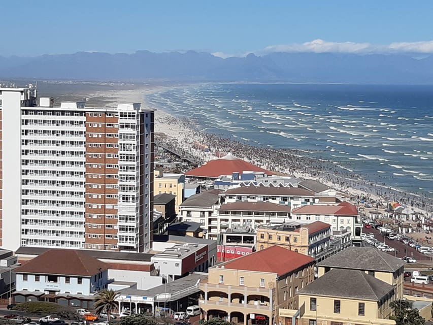 Exclusive Cape Point , Table Mountain and Wine Tasting Tour | GetYourGuide