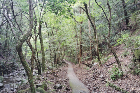 Near KIX: Shugendo Sanctuary of Waterfalls & Tranquility