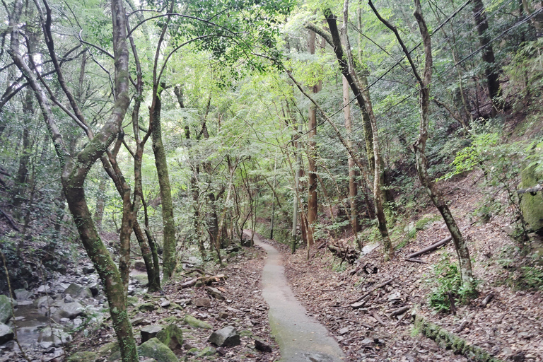 Cerca de KIX: Santuario Shugendo de Cascadas y Tranquilidad