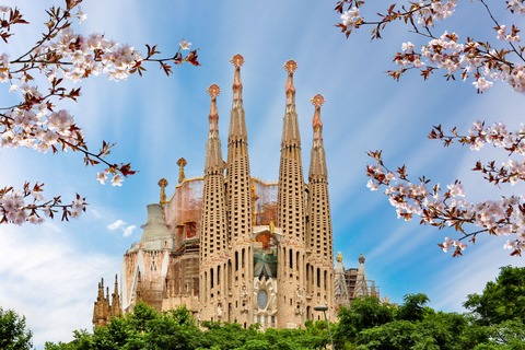 Barcelona: Flex Pass Top Attractions & Sagrada Option 7 Attractions Pass