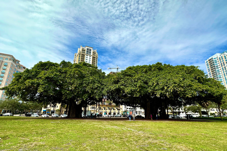 Petersburg, Fl: Sightseeingtour in elektrische karPetersburg, Fl: Rondleiding in elektrische kar