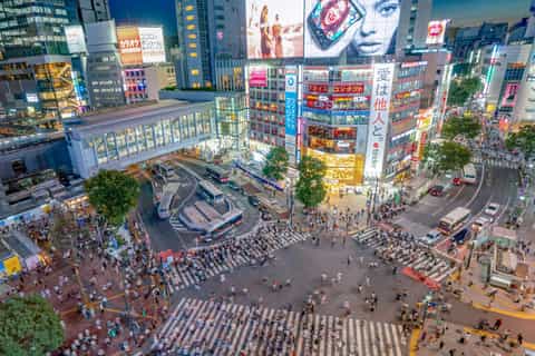 Hachiko Square Tours & Activities