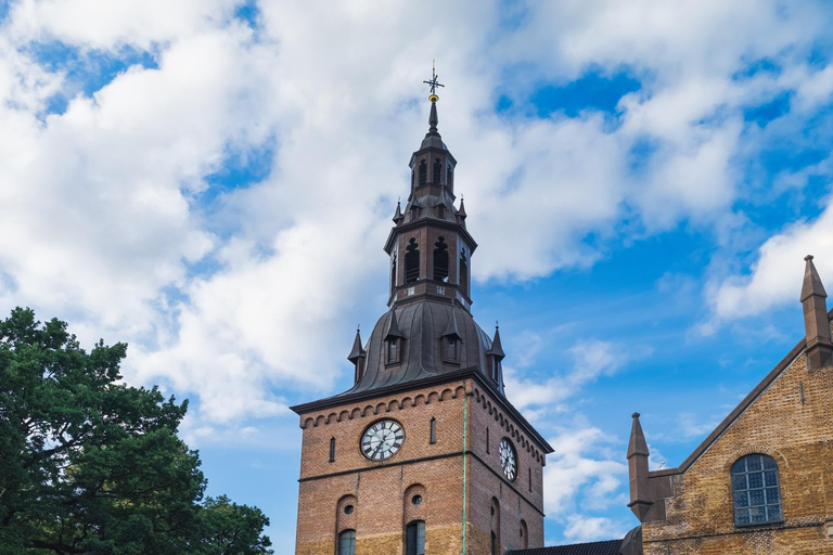Norwegian Beer Guided Tasting Tour of Oslo Bars & Pubs 4-hour: Private Tasting of 8 Beers and Food