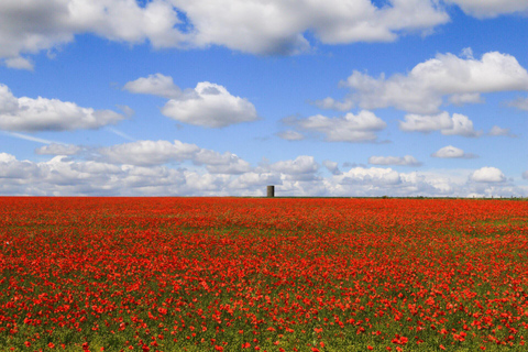 Southampton to London: Transfer with a Stop at Stonehenge Southampton Cruise Transfer via Stonehenge