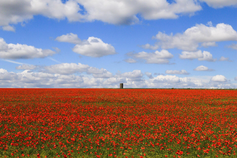 Southampton to London: Transfer with a Stop at Stonehenge Southampton Cruise Transfer via Stonehenge